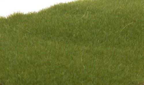 Woodland Scenics 785-621 Static Grass - Field System -- Dark Green 1/4 7mm  Fibers